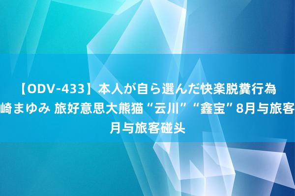 【ODV-433】本人が自ら選んだ快楽脱糞行為 1 神崎まゆみ 旅好意思大熊猫“云川”“鑫宝”8月与旅客碰头