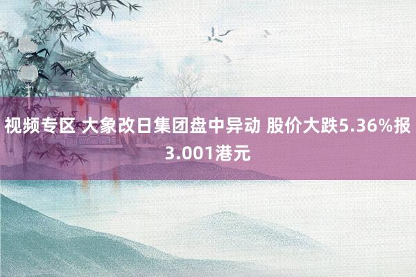 视频专区 大象改日集团盘中异动 股价大跌5.36%报3.001港元