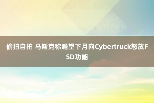 偷拍自拍 马斯克称瞻望下月向Cybertruck怒放FSD功能