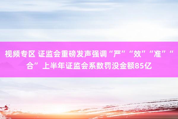 视频专区 证监会重磅发声强调“严”“效”“准”“合” 上半年证监会系数罚没金额85亿