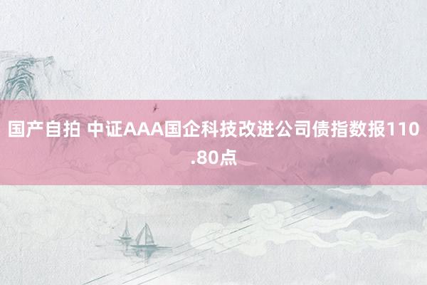 国产自拍 中证AAA国企科技改进公司债指数报110.80点