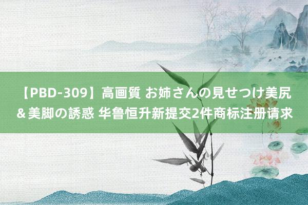 【PBD-309】高画質 お姉さんの見せつけ美尻＆美脚の誘惑 华鲁恒升新提交2件商标注册请求