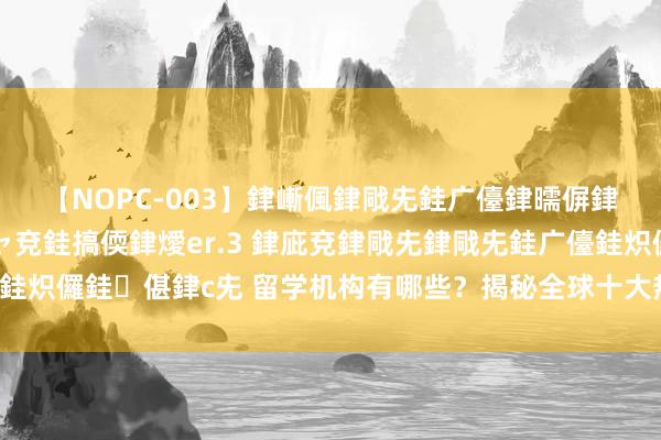 【NOPC-003】銉嶃偑銉戙兂銈广儓銉曘偋銉嗐偅銉冦偡銉ャ儫銉ャ兗銈搞偄銉燰er.3 銉庛兗銉戙兂銉戙兂銈广儓銈炽儸銈偡銉с兂 留学机构有哪些？揭秘全球十大热点留学盘问公司名次！