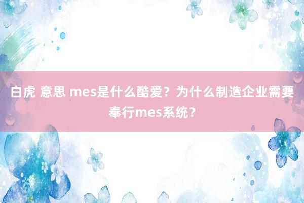 白虎 意思 mes是什么酷爱？为什么制造企业需要奉行mes系统？