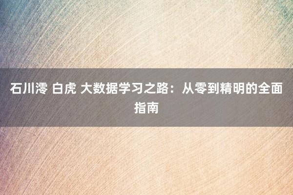 石川澪 白虎 大数据学习之路：从零到精明的全面指南