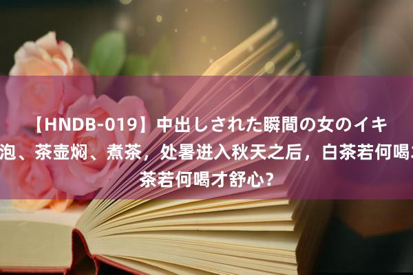 【HNDB-019】中出しされた瞬間の女のイキ顔 盖碗泡、茶壶焖、煮茶，处暑进入秋天之后，白茶若何喝才舒心？