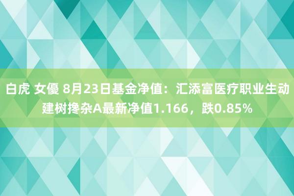 白虎 女優 8月23日基金净值：汇添富医疗职业生动建树搀杂A最新净值1.166，跌0.85%