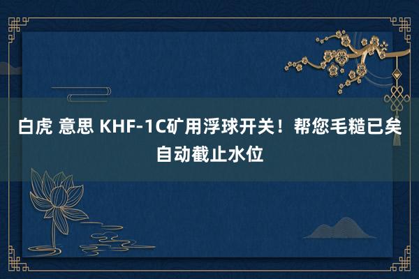 白虎 意思 KHF-1C矿用浮球开关！帮您毛糙已矣自动截止水位