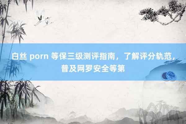 白丝 porn 等保三级测评指南，了解评分轨范，普及网罗安全等第