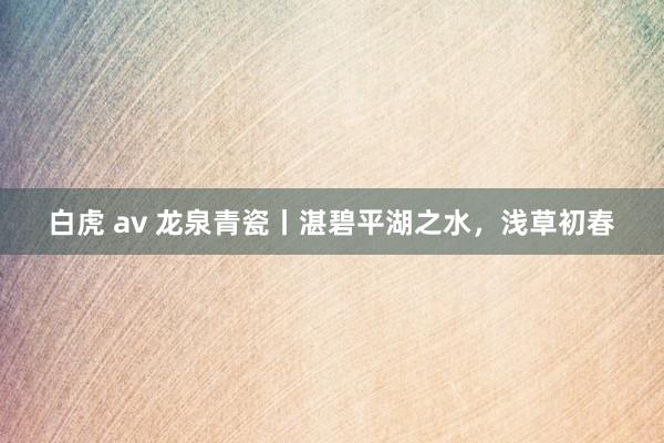 白虎 av 龙泉青瓷丨湛碧平湖之水，浅草初春