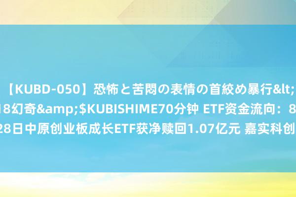 【KUBD-050】恐怖と苦悶の表情の首絞め暴行</a>2013-03-18幻奇&$KUBISHIME70分钟 ETF资金流向：8月28日中原创业板成长ETF获净赎回1.07亿元 嘉实科创芯片ETF获净赎回0.88亿元（附图）