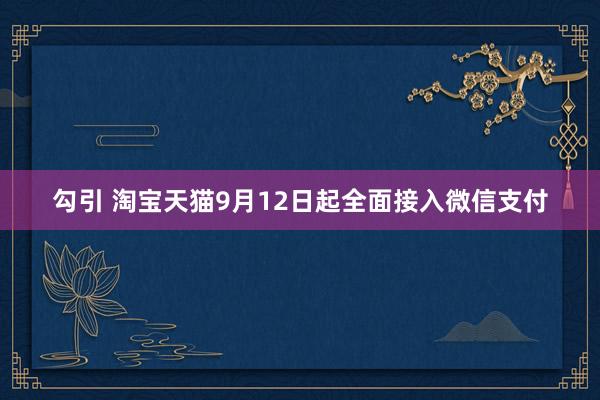 勾引 淘宝天猫9月12日起全面接入微信支付