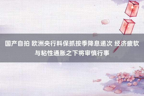 国产自拍 欧洲央行料保抓按季降息递次 经济疲软与粘性通胀之下将审慎行事