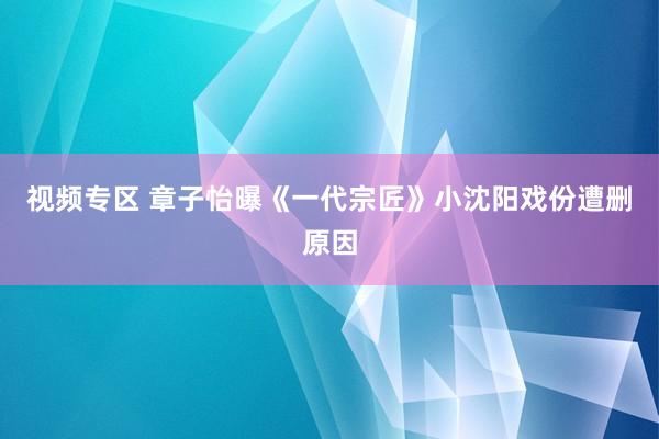 视频专区 章子怡曝《一代宗匠》小沈阳戏份遭删原因