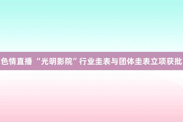 色情直播 “光明影院”行业圭表与团体圭表立项获批