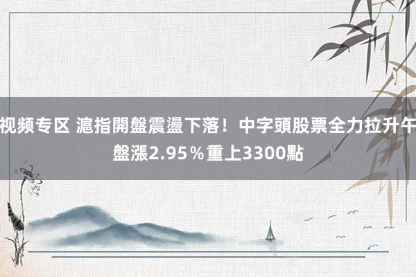 视频专区 滬指開盤震盪下落！中字頭股票全力拉升　午盤漲2.95％重上3300點