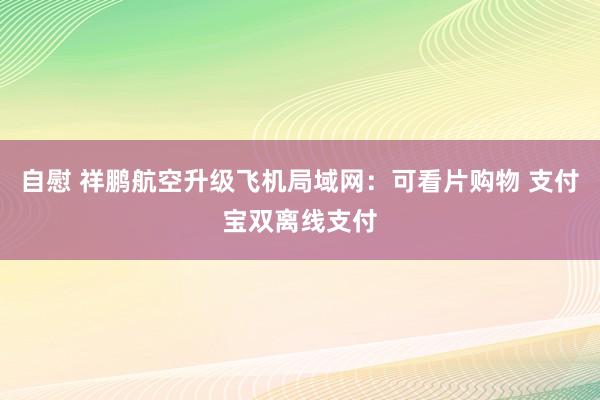 自慰 祥鹏航空升级飞机局域网：可看片购物 支付宝双离线支付