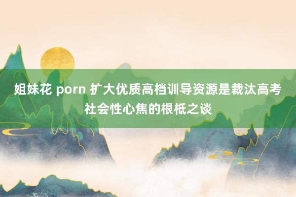 姐妹花 porn 扩大优质高档训导资源是裁汰高考社会性心焦的根柢之谈