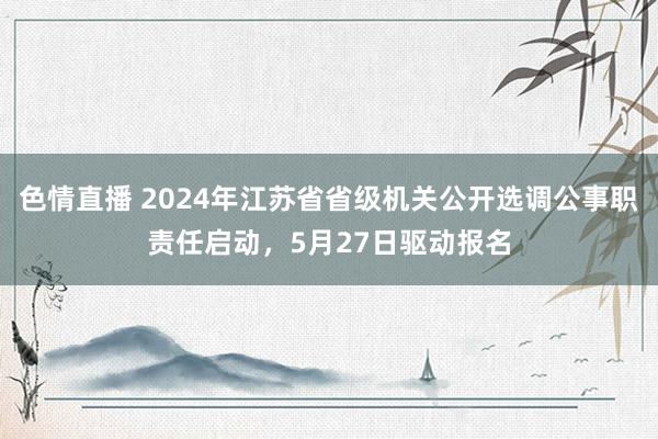 色情直播 2024年江苏省省级机关公开选调公事职责任启动，5月27日驱动报名